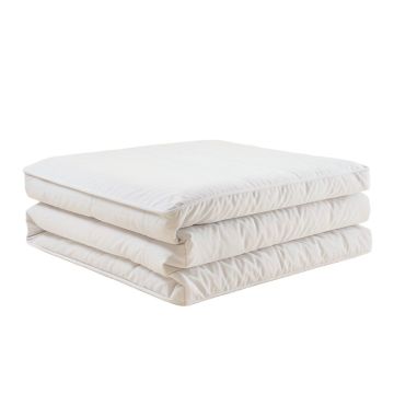 Hermosillo 7 Piece Comforter Set