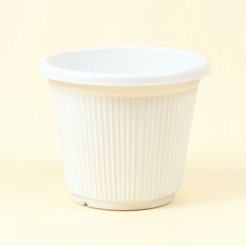 Glen Branch Empty Planter - White (synthetic illustration; no displayed measurements)
