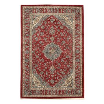 Oriental Oriental Red/Gray Area Rug