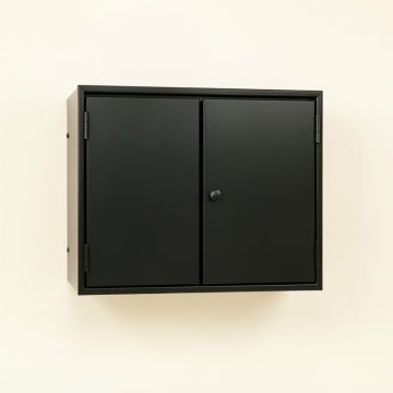 Pine Dale Wall-Mounted Entry Cabinet - Black (synthetic illustration; no displayed measurements)