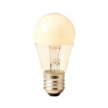 2.5 Watt ( 25 Watt Equivalent )