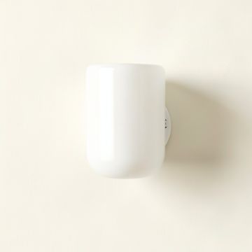 Juniper Dale Wall Sconce Mounted On A Plain Wall - White (synthetic illustration; no displayed measurements)