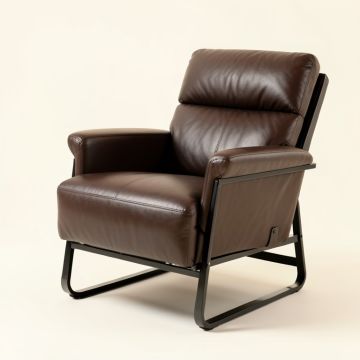 Pescadero 33.5 '' Wide Power Lift Assist Standard Recliner (synthetic illustration; no displayed measurements)