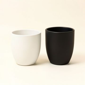 Bothilde 2 Piece Ceramic Pot Planter Set (synthetic illustration; no displayed measurements)