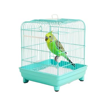 Double Roof Parakeet Bird Starter Kit