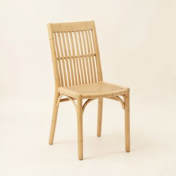 Sage Canyon Dining Chair - Beige (synthetic illustration; no displayed measurements)