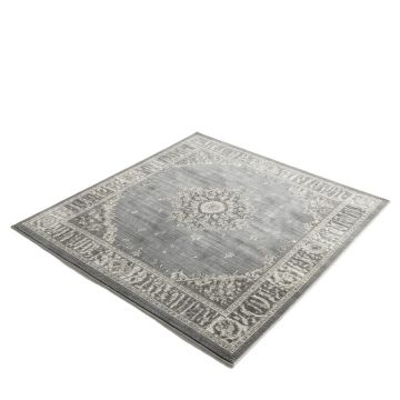 Copenhaver Oriental Gray Area Rug