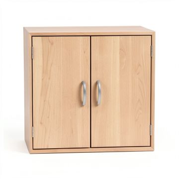Cataleya 2 Door Storage Cabinet (synthetic illustration; no displayed measurements)