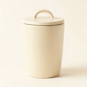 Moss Bridge Storage Canister With Lid - Ivory (synthetic illustration; no displayed measurements)