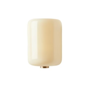 Briar Canyon Wall Sconce Mounted On A Plain Wall - Ivory