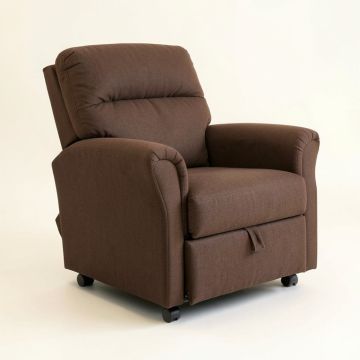 Cecylia 32.3 '' Wide Power Lift Assist Standard Recliner (synthetic illustration; no displayed measurements)