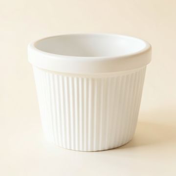 Cedar Bridge Empty Planter - White (synthetic illustration; no displayed measurements)