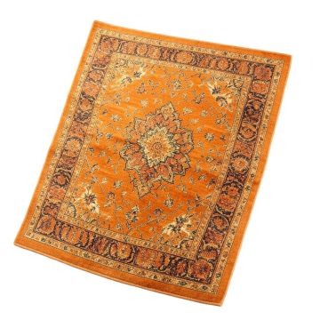 Hartig Oriental Orange Area Rug