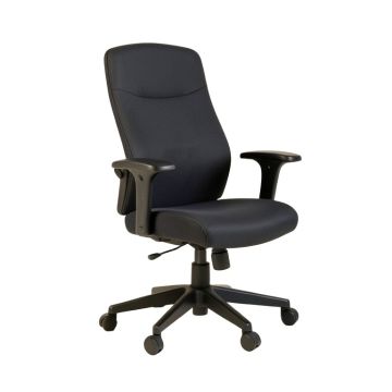 Friant Ergonomic Task Chair