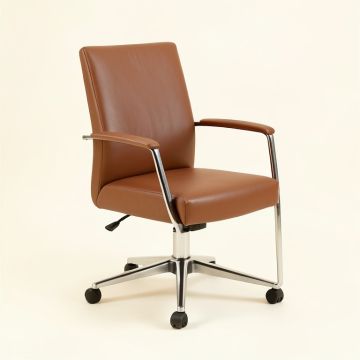 Arianny Simple Fashion Casual Beauty Salon Conference Chair (synthetic illustration; no displayed measurements)
