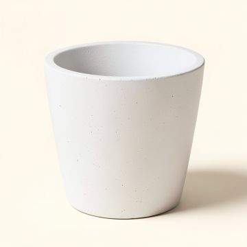 Gethsemane Concrete Pot Planter (synthetic illustration; no displayed measurements)