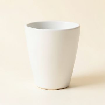 Cove Brook Empty Planter - White (synthetic illustration; no displayed measurements)