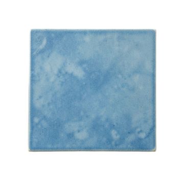 Field Branch Uninstalled Square Decorative Tile - Blue