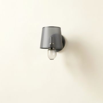 Cove Crest Wall Sconce Mounted On A Plain Wall - Gray (synthetic illustration; no displayed measurements)