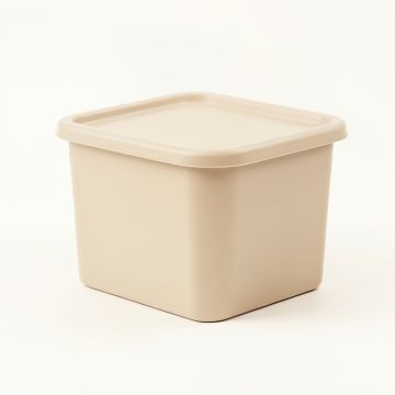 Lake Branch Closed Outdoor Storage Box - Beige (synthetic illustration; no displayed measurements)