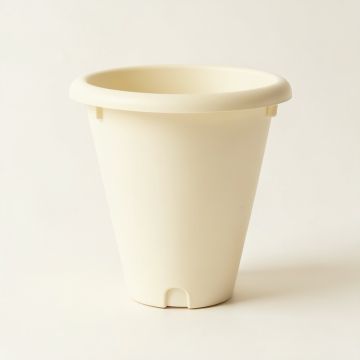 Birch Branch Empty Railing Planter With Integral Brackets - Ivory (synthetic illustration; no displayed measurements)