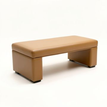 Loney Leather Upholstered Bench (synthetic illustration; no displayed measurements)