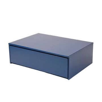 Cedar Field Desktop Monitor Riser - Blue