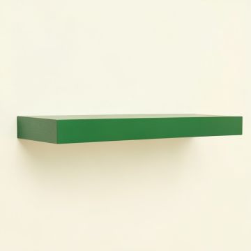 Laurel Branch Wall-Mounted Shelf - Green (synthetic illustration; no displayed measurements)