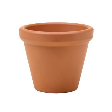 Large Terracotta Pot Planter Without Saucer