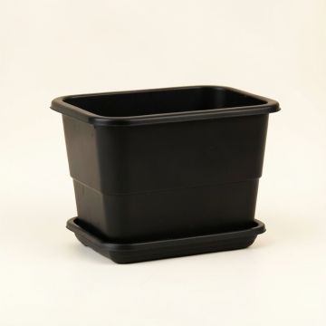 Dawn Branch Empty Raised Planter - Black (synthetic illustration; no displayed measurements)