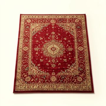 Aleydis Power Loom Red/Begie Rug (synthetic illustration; no displayed measurements)