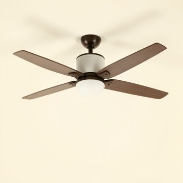 52 '' Carruthers 5 - Blade Standard Ceiling Fan (synthetic illustration; no displayed measurements)