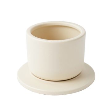 Cove Branch Empty Candle Holder - Cream