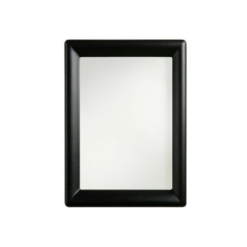 Flint Branch Framed Wall Mirror - Black