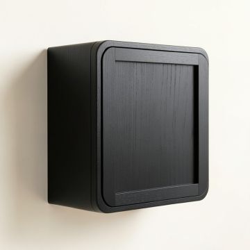 Spruce Branch Wall-Mounted Entry Cabinet - Black (synthetic illustration; no displayed measurements)