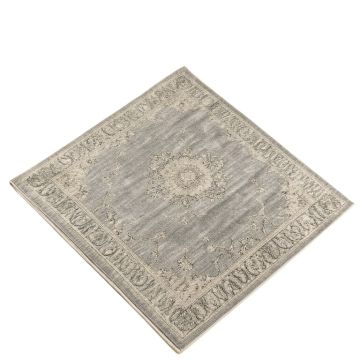 Benoit Oriental Gray Area Rug