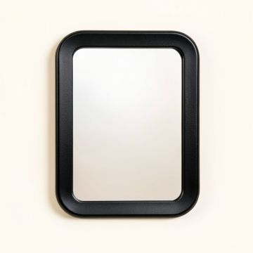 Laurel Canyon Framed Wall Mirror - Black (synthetic illustration; no displayed measurements)
