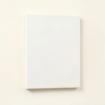 Dove Wall Art On Wrapped Canvas (synthetic illustration; no displayed measurements)