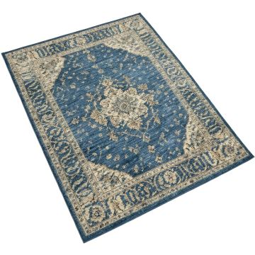 Hosking Oriental Blue Rug