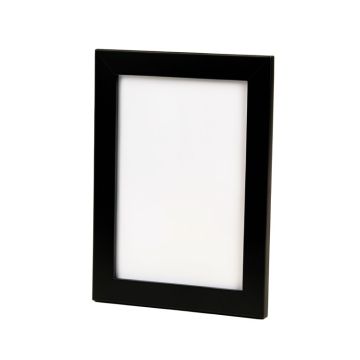 Amilyah Single Picture Frame (synthetic illustration; no displayed measurements)
