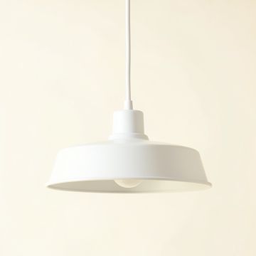 Olive Brook Pendant Light Suspended From One Plain Cable - White (synthetic illustration; no displayed measurements)