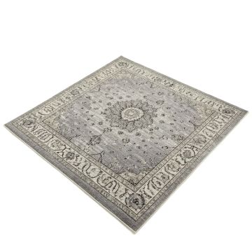 Hillsby Oriental Light Gray/Charcoal Area Rug