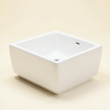 Cayman White Ceramic Rectangular Drop-In Bathroom Sink (synthetic illustration; no displayed measurements)