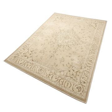 Brandt Oriental Beige Area Rug