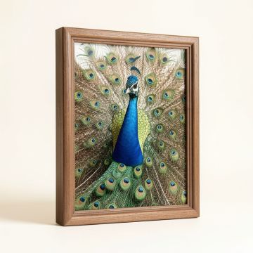 `` Peacock '' - 2 Piece Wrapped Canvas Print (synthetic illustration; no displayed measurements)