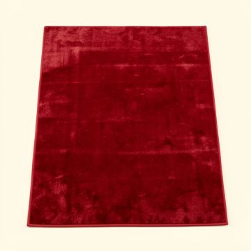 Donnal Ombre Red Area Rug (synthetic illustration; no displayed measurements)