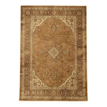 Brandt Oriental Brown Rug