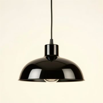 Moss Bluff Pendant Light Suspended From One Plain Cable - Black (synthetic illustration; no displayed measurements)