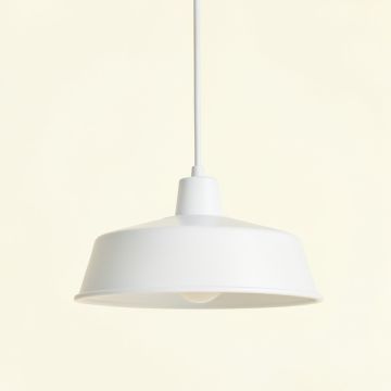 Briar Dell Pendant Light Suspended From One Plain Cable - White (synthetic illustration; no displayed measurements)