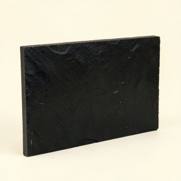 Montauk 3 '' X 6 '' Slate Concrete Look Wall & Floor Tile (synthetic illustration; no displayed measurements)